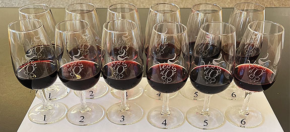 20221105-vo-2022-actualite-003